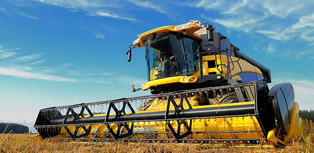 Combine harvester on the field